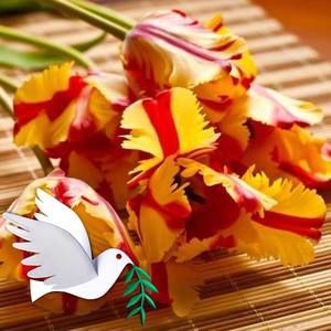 Meet your Posher, Maureen